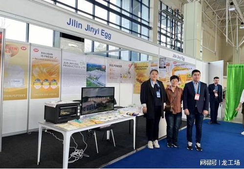 數字貿易產業服務助力企業海外拓展——新疆龍工場推動吉林企業參展獲訂單